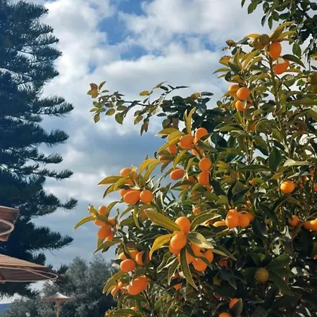 아파트호텔 Stefanosplace Sea View